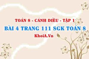 Bài 4 trang 111 SGK Toán 8 tập 1 Cánh Diều